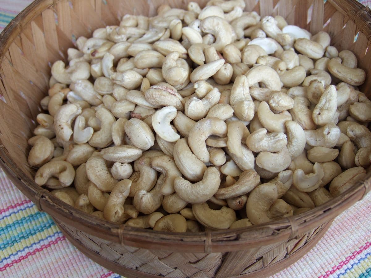 A woven basket of raw cashew kernels.